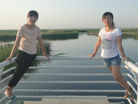 k1���� - ʮ��Ʒ�� ֵ������