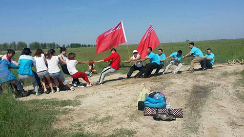 k1���� - ʮ��Ʒ�� ֵ������