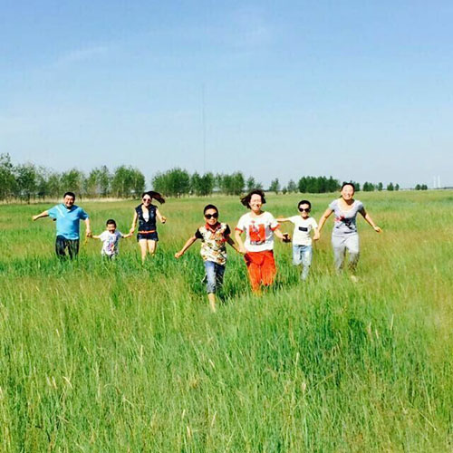 k1���� - ʮ��Ʒ�� ֵ������