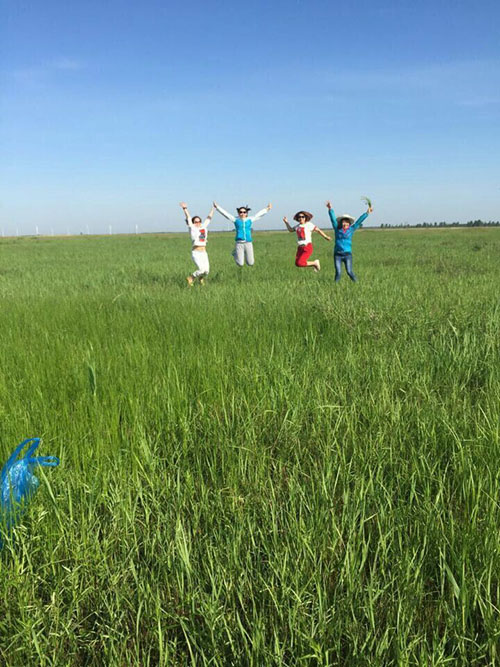 k1���� - ʮ��Ʒ�� ֵ������