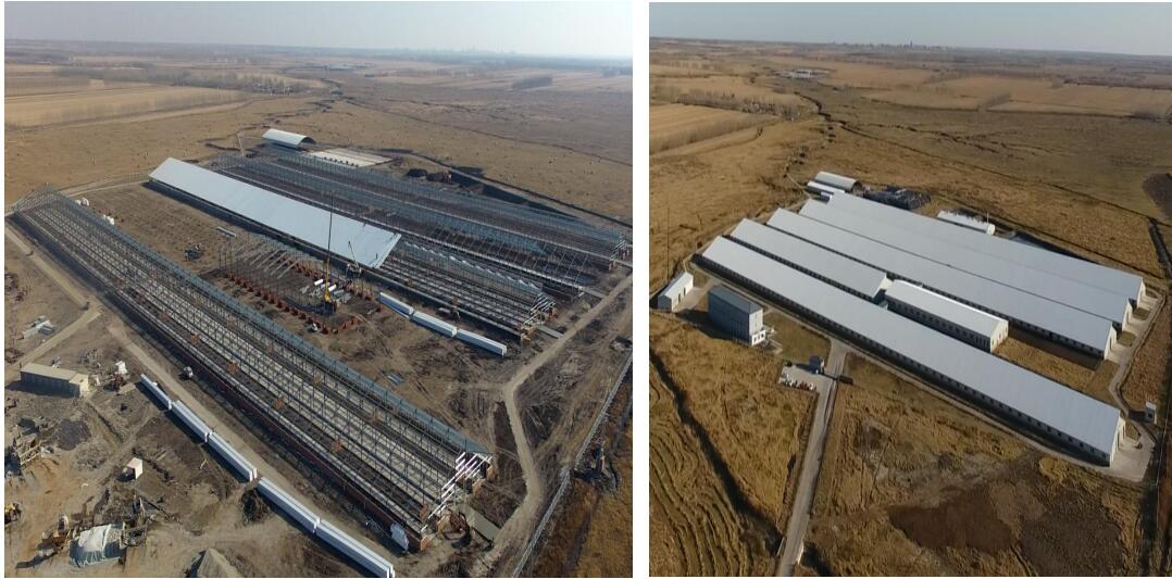 k1���� - ʮ��Ʒ�� ֵ������